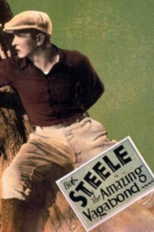 The Amazing Vagabond 1929 official movie poster