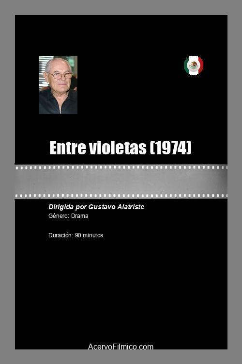 Entre violetas 1974 official movie poster