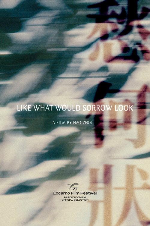 Like What Would Sorrow Look 2024 official movie poster