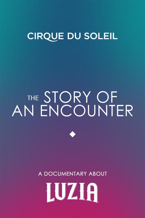 The Story Of An Encounter 2016 official movie poster