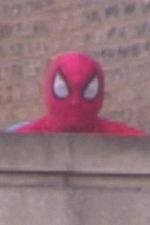 Comes Great Responsibility 2004 official movie poster