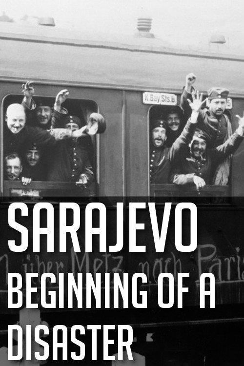 Sarajevo: Beginning of a Disaster 2014 official movie poster