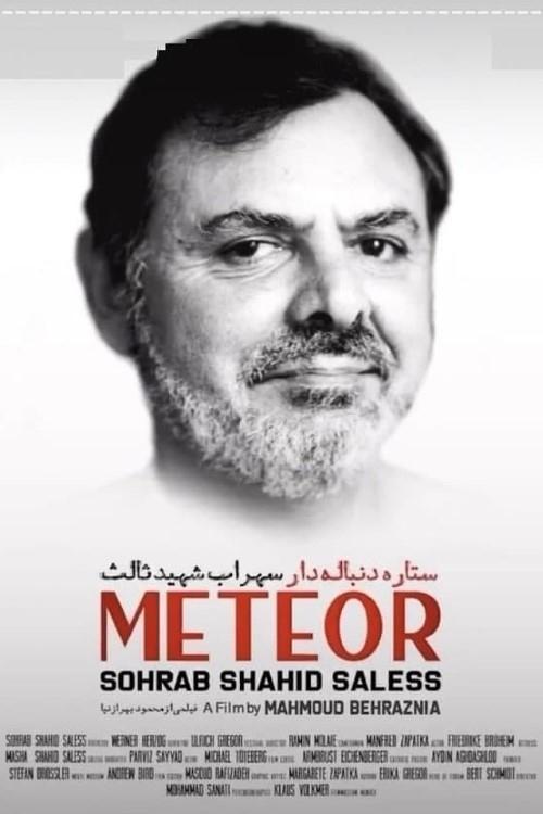 Meteor: Sohrab Shahid Saless 2021 official movie poster