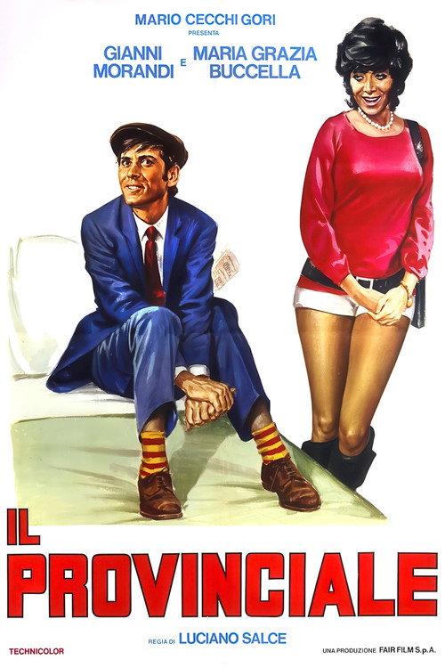 Il provinciale 1971 official movie poster