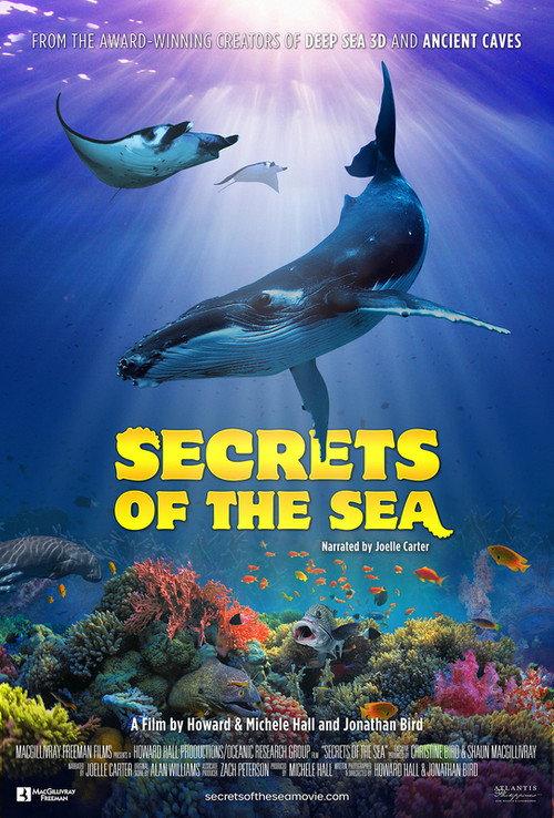 Secrets of the Sea 2022 official movie poster