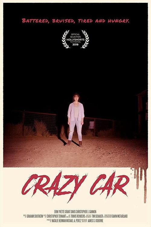 Crazy Car 2019 official movie poster