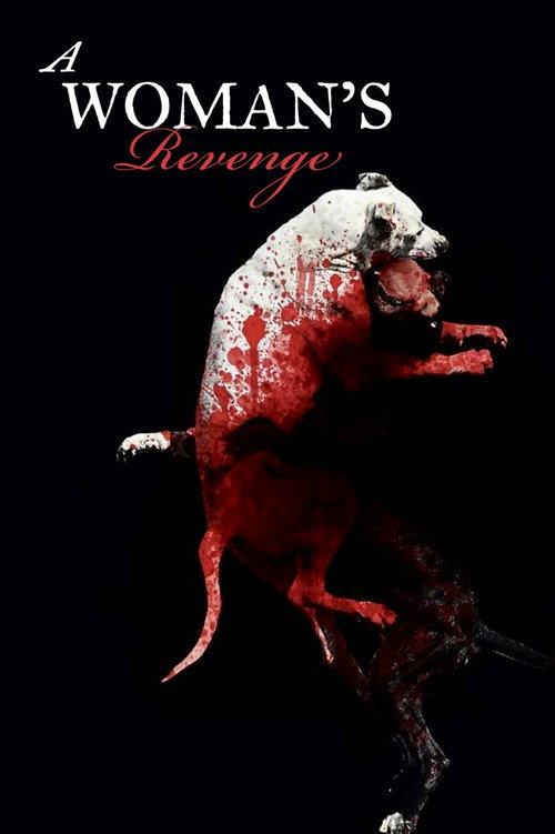 A Woman's Revenge 2012 official movie poster