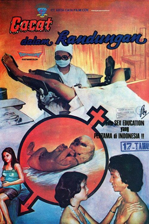 Defect in the Womb 1977 official movie poster