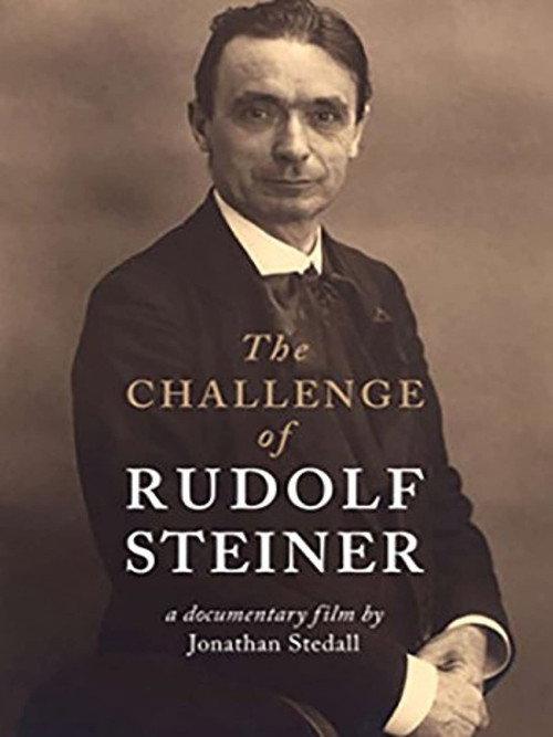 The Challenge of Rudolf Steiner 2011 official movie poster