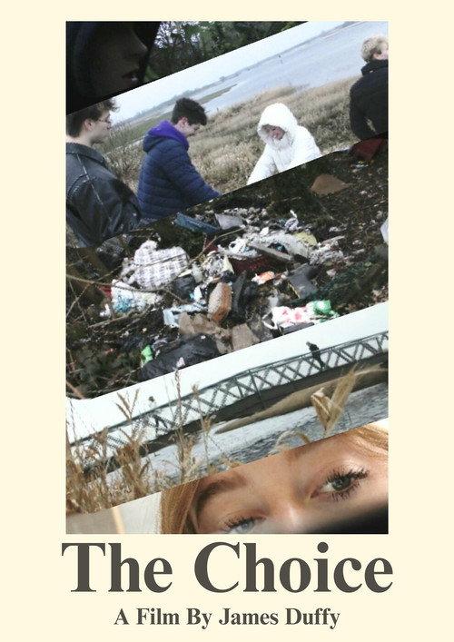 The Choice: Illegal Dumping  official movie poster