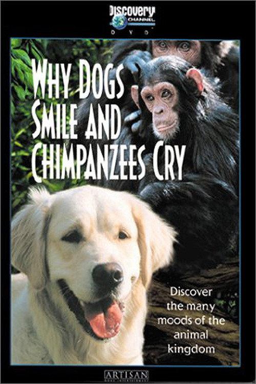 Why Dogs Smile and Chimpanzees Cry 1999 official movie poster