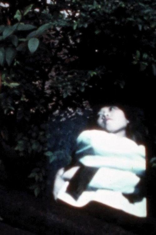 Summer is Gone 1978 official movie poster