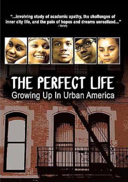 The Perfect Life 2006 official movie poster