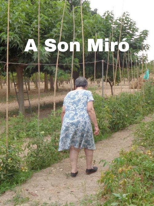 A Son Miró 2024 official movie poster