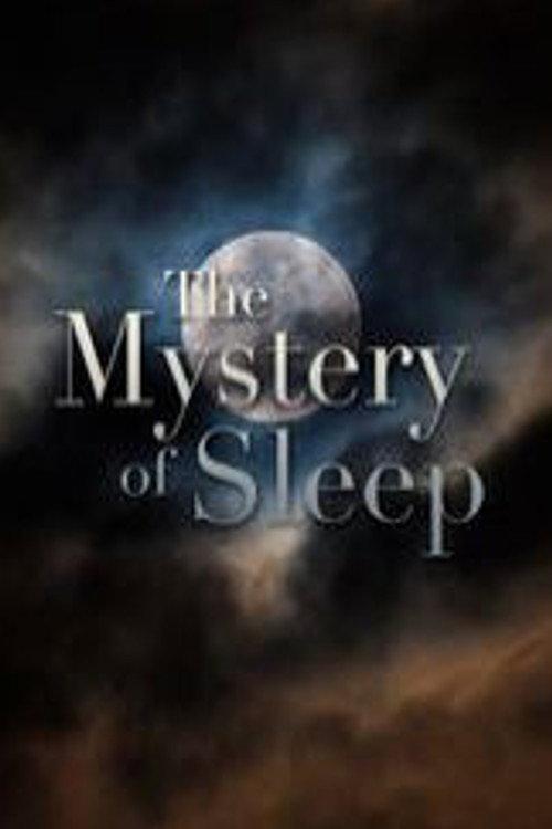 The Mystery of Sleep 2010 official movie poster