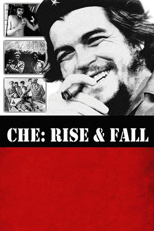 Che: Rise and Fall 2009 official movie poster