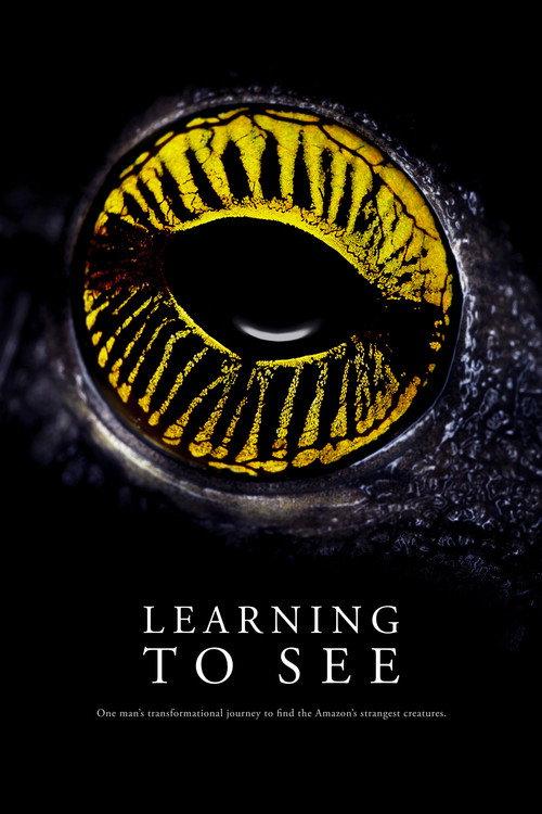 Learning To See 2016 official movie poster