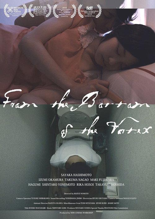 From the Bottom of the Vortex 2015 official movie poster