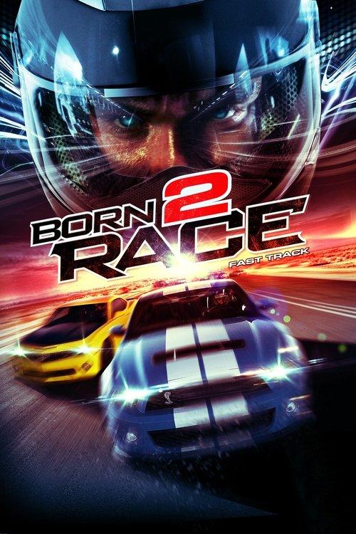Born to Race: Fast Track 2014 official movie poster