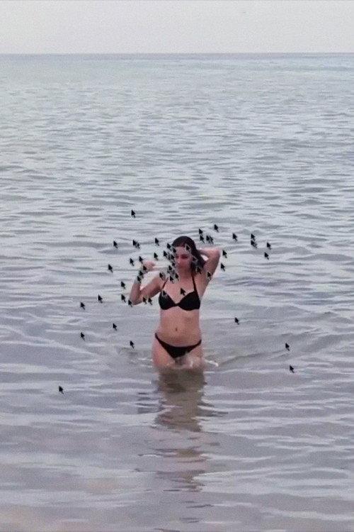 Hot Beach Babe Aims to Please 2014 official movie poster