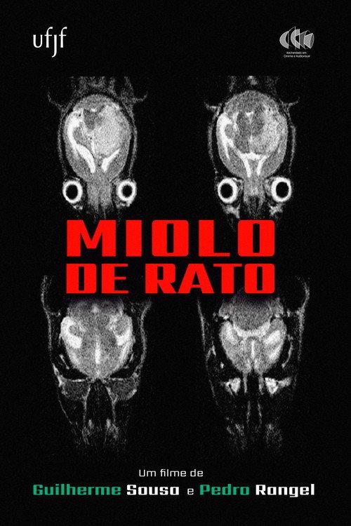 Miolo de Rato  official movie poster