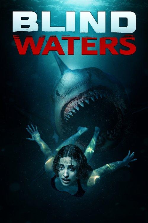 Blind Waters 2024 official movie poster