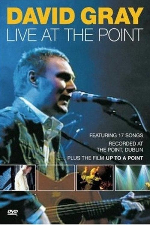 David Gray: Live at the Point 2001 official movie poster