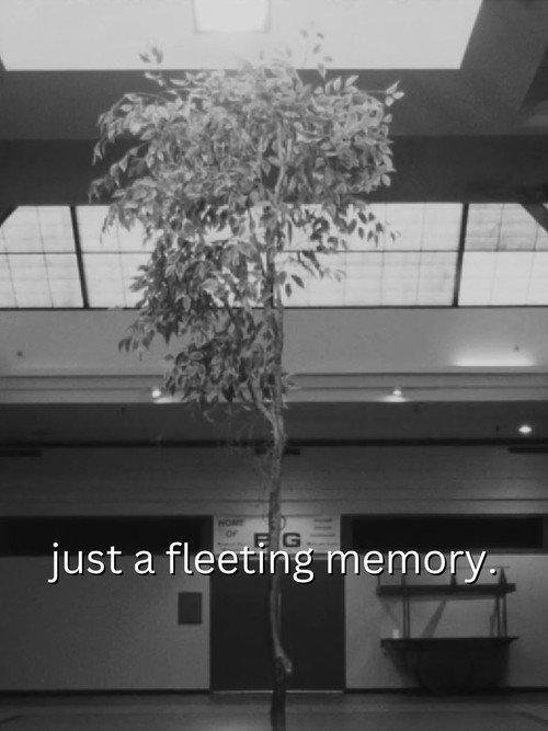 just a fleeting memory. 2024 official movie poster