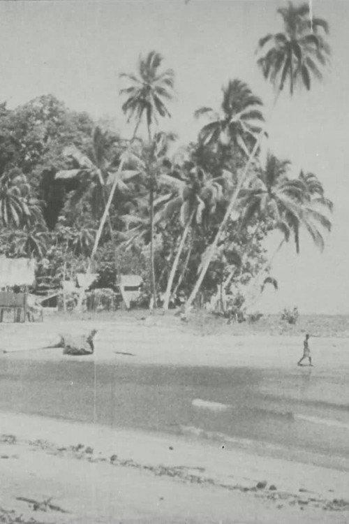 Bougainville 1935 official movie poster