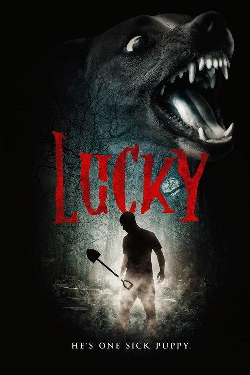 Lucky 2004 official movie poster
