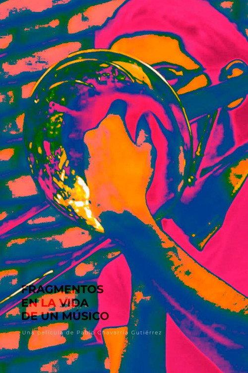 Fragments in a Musician's Life 2020 official movie poster