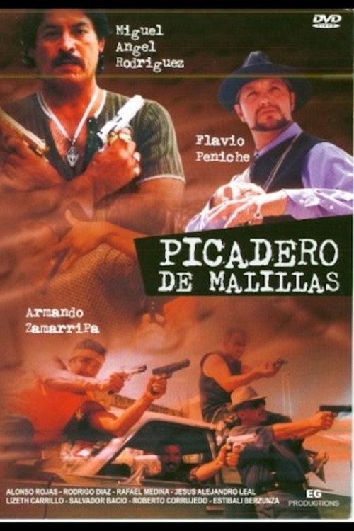 Picadero de malillas 2003 official movie poster