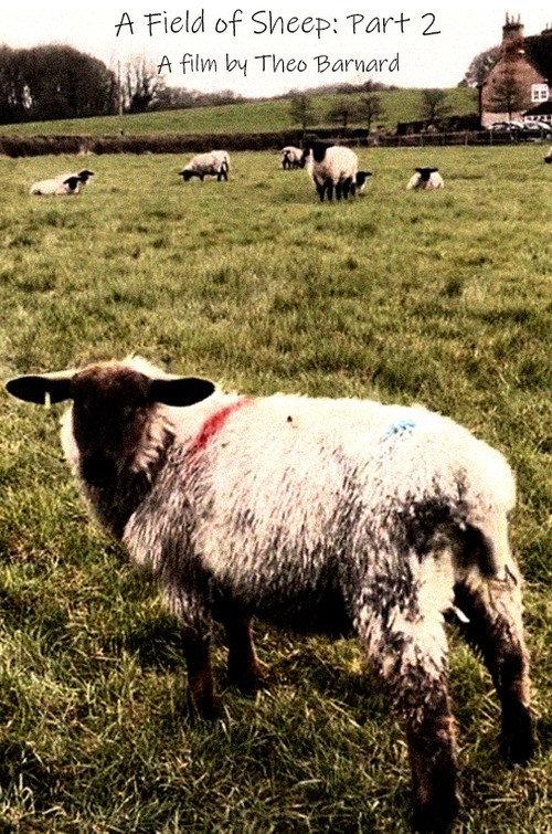 A Field of Sheep Part 2 2024 official movie poster