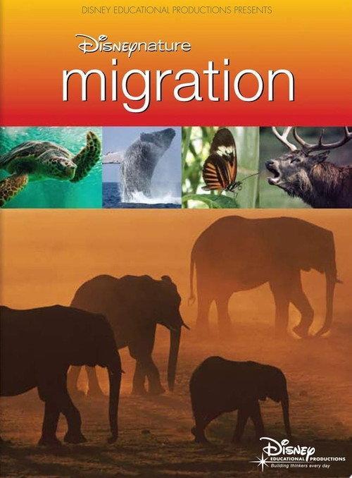 Disneynature: Migration 2009 official movie poster