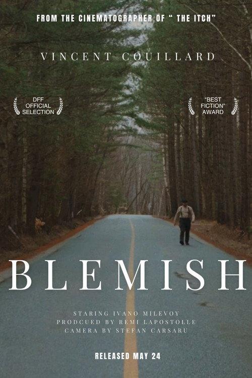 Blemish 2025 official movie poster