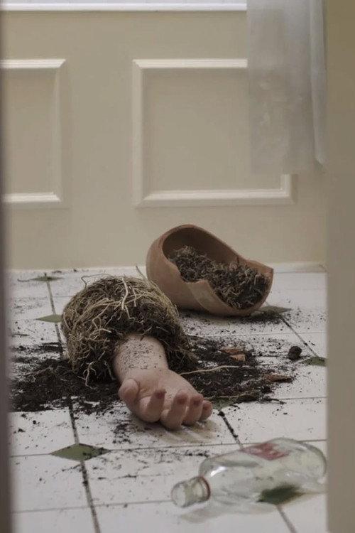 Seeds of Love 2021 official movie poster