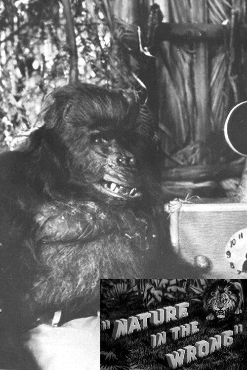 Nature in the Wrong 1933 official movie poster