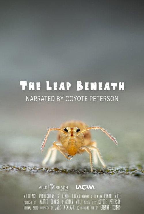 The Leap Beneath 2026 official movie poster