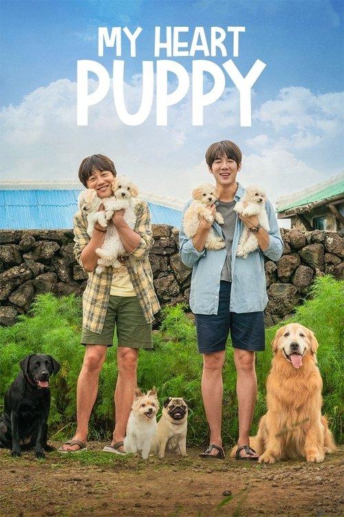 My Heart Puppy 2023 official movie poster