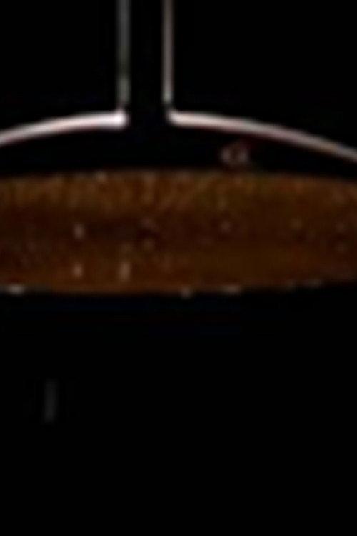 The European Showerbath 2004 official movie poster