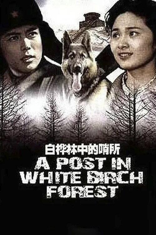 A Post in White Birch Forest 1982 official movie poster