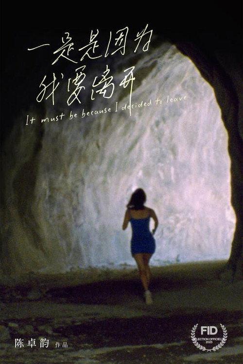 It Must Be Because I Decided to Leave 2025 official movie poster