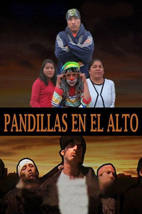 Pandillas en El Alto 2009 official movie poster