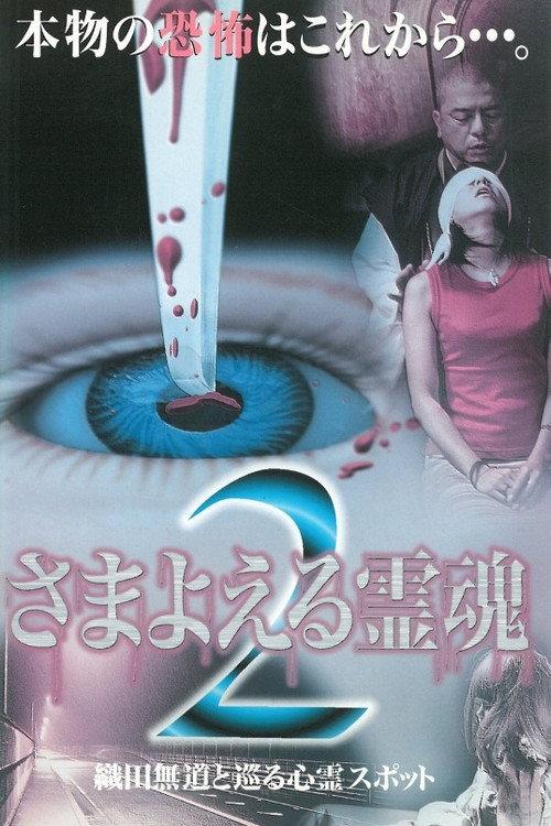 Wandering Souls 2: Exploring Haunted Spots with Oda Nobunaga 1999 official movie poster