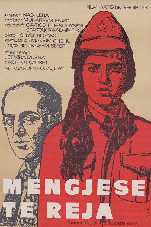 New Mornings 1980 official movie poster
