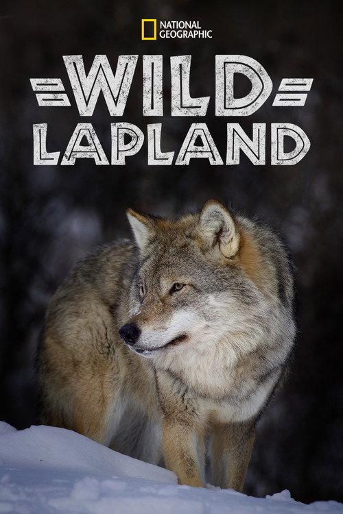 Wild Lapland 2020 official movie poster