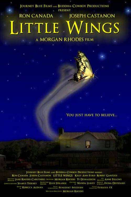 Little Wings 2007 official movie poster