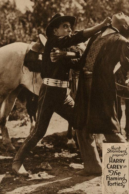 The Flaming Forties 1924 official movie poster