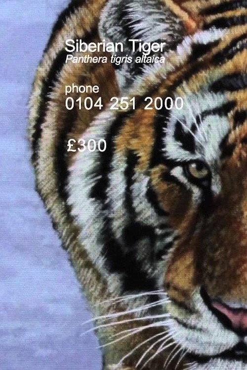 Siberian Tiger 2012 official movie poster