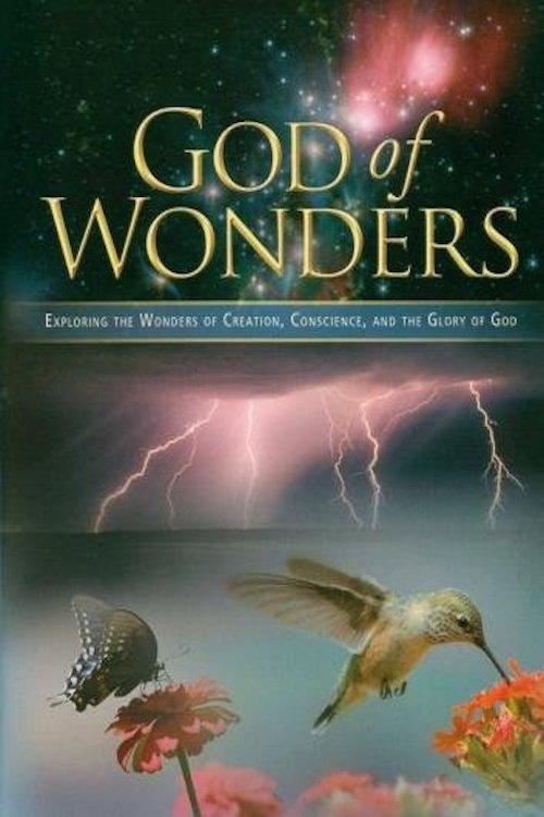 God of Wonders 2008 official movie poster